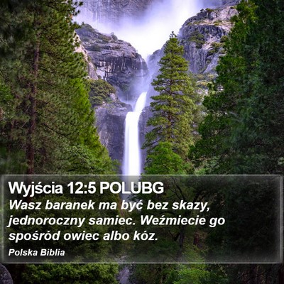 Wyjścia 12:5 POLUBG Bible Verse Image