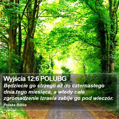 Wyjścia 12:6 POLUBG Bible Verse Image