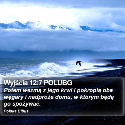 Wyjścia 12:7 POLUBG Bible Verse Image