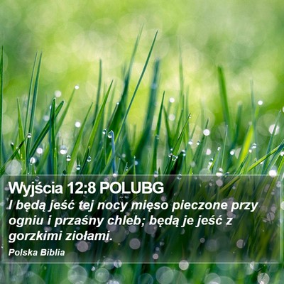 Wyjścia 12:8 POLUBG Bible Verse Image