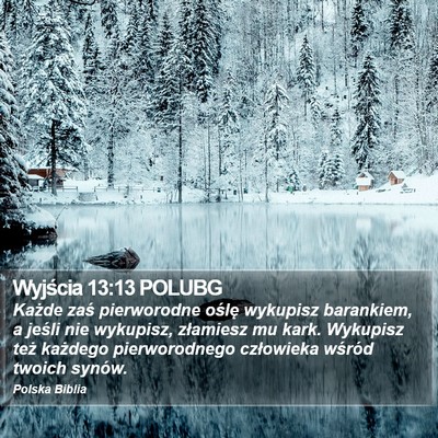 Wyjścia 13:13 POLUBG Bible Verse Image
