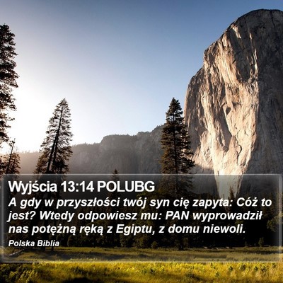Wyjścia 13:14 POLUBG Bible Verse Image