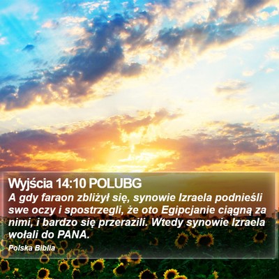 Wyjścia 14:10 POLUBG Bible Verse Image