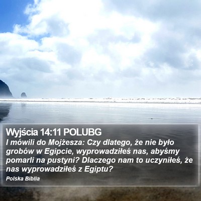 Wyjścia 14:11 POLUBG Bible Verse Image