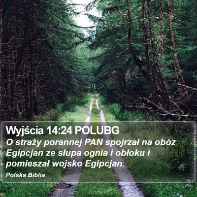 Wyjścia 14:24 POLUBG Bible Verse Image