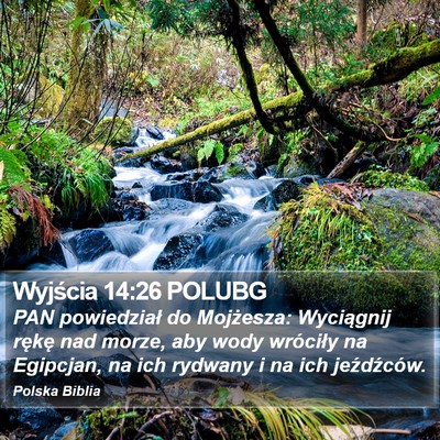 Wyjścia 14:26 POLUBG Bible Verse Image