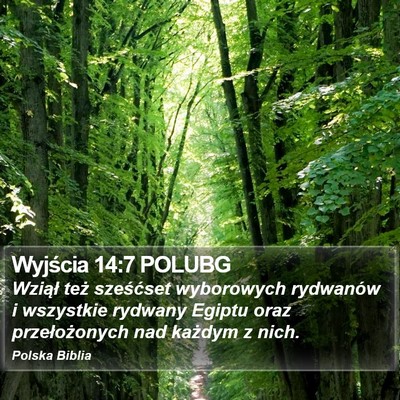 Wyjścia 14:7 POLUBG Bible Verse Image