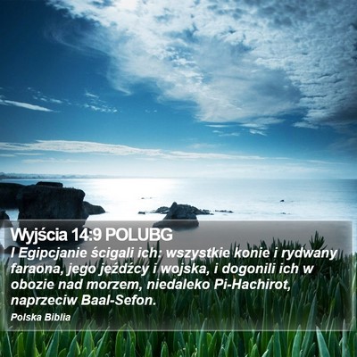 Wyjścia 14:9 POLUBG Bible Verse Image