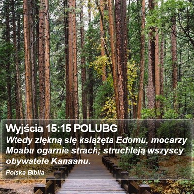 Wyjścia 15:15 POLUBG Bible Verse Image