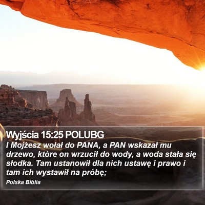 Wyjścia 15:25 POLUBG Bible Verse Image