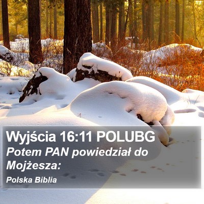 Wyjścia 16:11 POLUBG Bible Verse Image