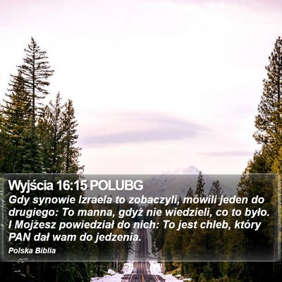 Wyjścia 16:15 POLUBG Bible Verse Image