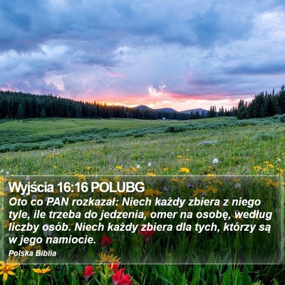 Wyjścia 16:16 POLUBG Bible Verse Image