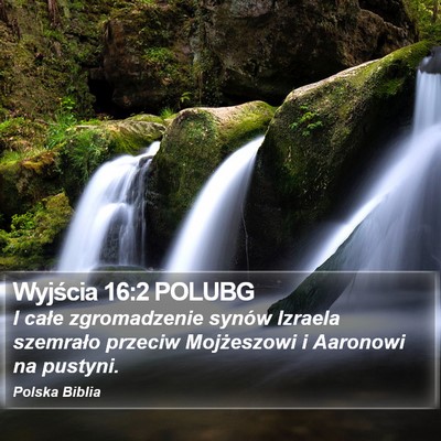 Wyjścia 16:2 POLUBG Bible Verse Image
