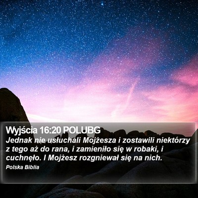 Wyjścia 16:20 POLUBG Bible Verse Image