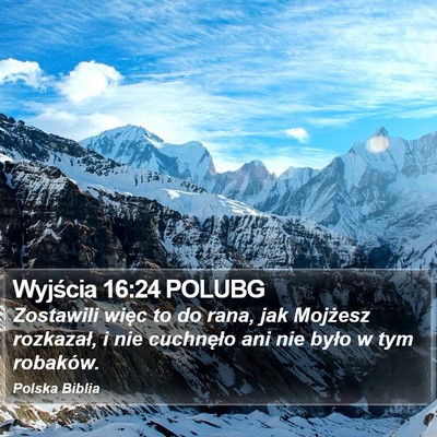 Wyjścia 16:24 POLUBG Bible Verse Image