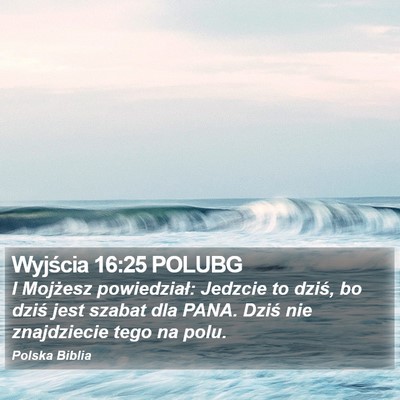Wyjścia 16:25 POLUBG Bible Verse Image
