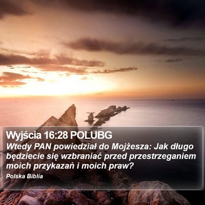 Wyjścia 16:28 POLUBG Bible Verse Image
