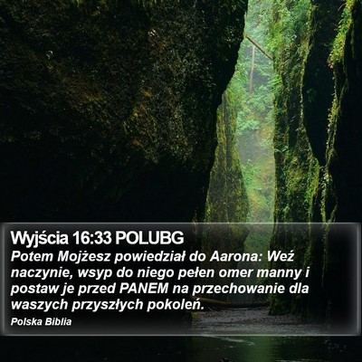 Wyjścia 16:33 POLUBG Bible Verse Image