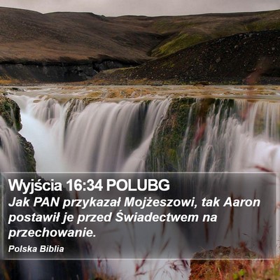 Wyjścia 16:34 POLUBG Bible Verse Image