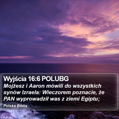 Wyjścia 16:6 POLUBG Bible Verse Image