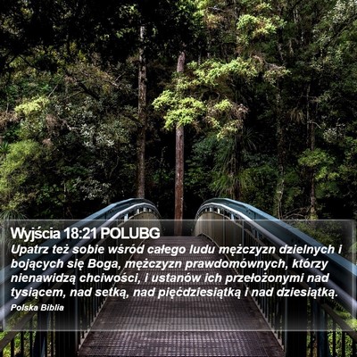 Wyjścia 18:21 POLUBG Bible Verse Image