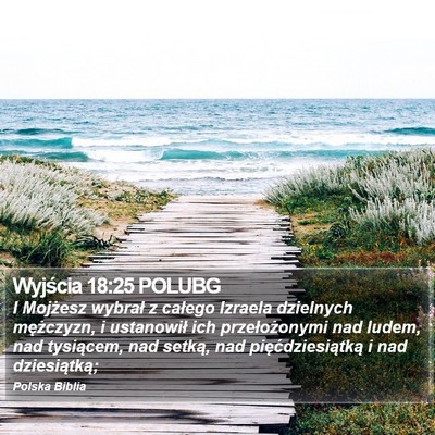 Wyjścia 18:25 POLUBG Bible Verse Image