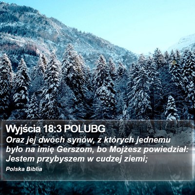 Wyjścia 18:3 POLUBG Bible Verse Image