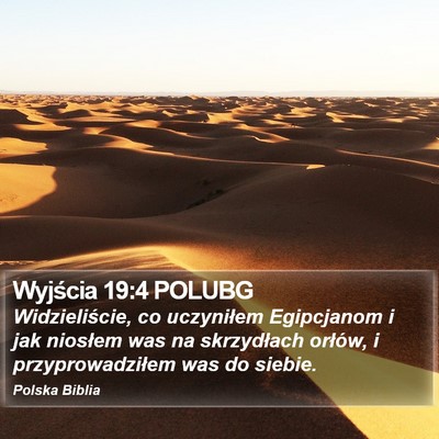 Wyjścia 19:4 POLUBG Bible Verse Image
