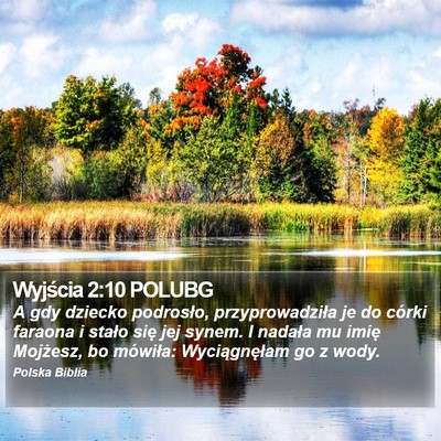 Wyjścia 2:10 POLUBG Bible Verse Image