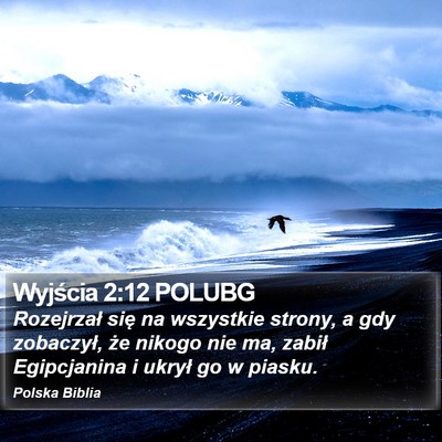 Wyjścia 2:12 POLUBG Bible Verse Image
