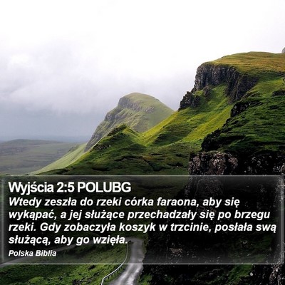 Wyjścia 2:5 POLUBG Bible Verse Image