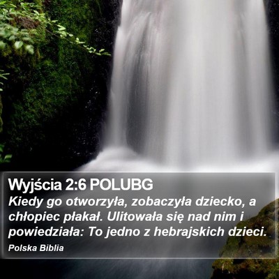 Wyjścia 2:6 POLUBG Bible Verse Image