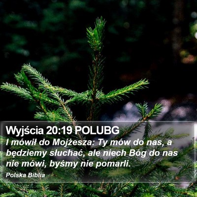 Wyjścia 20:19 POLUBG Bible Verse Image