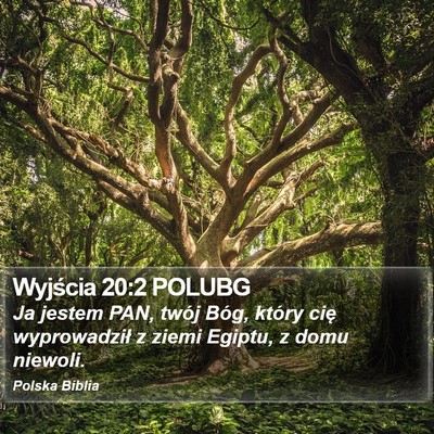 Wyjścia 20:2 POLUBG Bible Verse Image