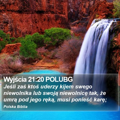 Wyjścia 21:20 POLUBG Bible Verse Image