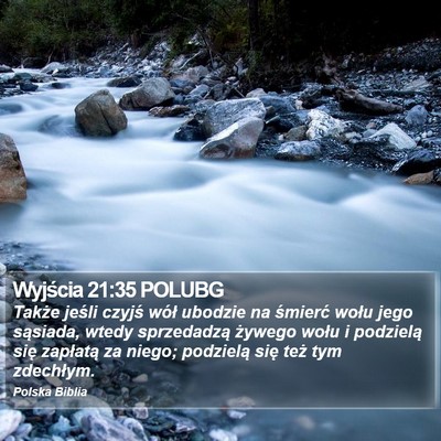 Wyjścia 21:35 POLUBG Bible Verse Image