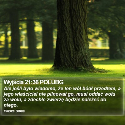 Wyjścia 21:36 POLUBG Bible Verse Image