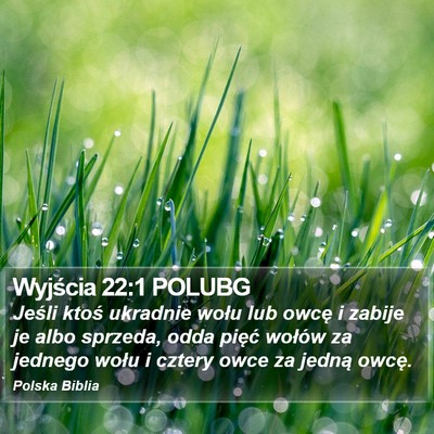 Wyjścia 22:1 POLUBG Bible Verse Image