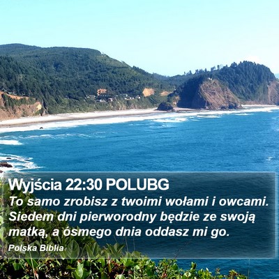 Wyjścia 22:30 POLUBG Bible Verse Image