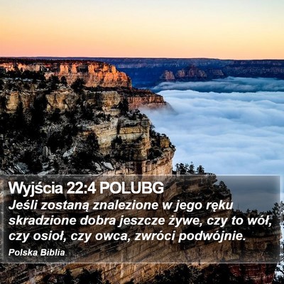 Wyjścia 22:4 POLUBG Bible Verse Image