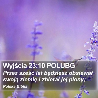 Wyjścia 23:10 POLUBG Bible Verse Image