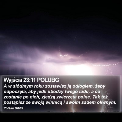 Wyjścia 23:11 POLUBG Bible Verse Image