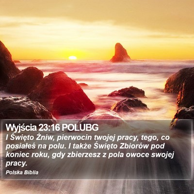 Wyjścia 23:16 POLUBG Bible Verse Image