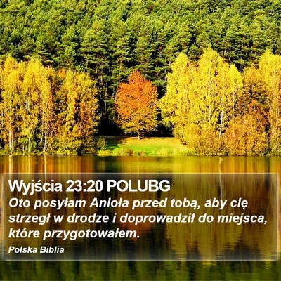 Wyjścia 23:20 POLUBG Bible Verse Image