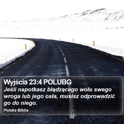 Wyjścia 23:4 POLUBG Bible Verse Image