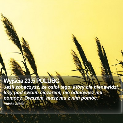 Wyjścia 23:5 POLUBG Bible Verse Image