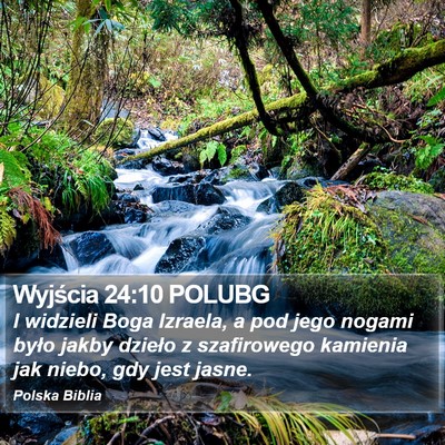 Wyjścia 24:10 POLUBG Bible Verse Image