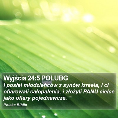 Wyjścia 24:5 POLUBG Bible Verse Image