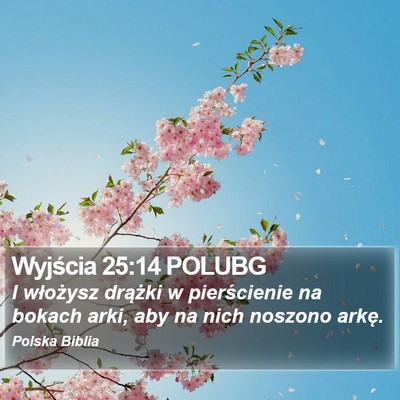 Wyjścia 25:14 POLUBG Bible Verse Image
